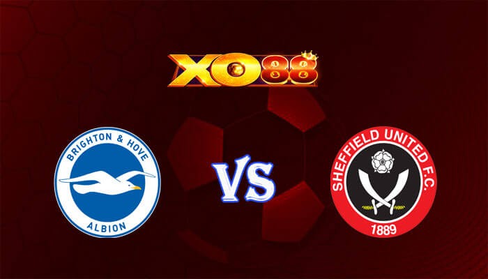 XO88 Nhận định soi kèo Brighton vs Sheffield United 21h00 ngày 12/11/2023 Ngoại Hạng Anh